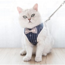 Özbience Konforlu ve Şık Kedi Göğüs Tasması, Güvenle Kullanılır