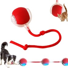 Özbience Dönüşümlü Hareketli Kedi ve Köpek Topu, Şarjlı ve Eğlenceli Oyuncak