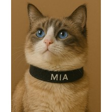 Özbience Kadife Kedi Boyun Tasması, Ayarlanabilir, Şık ve Konforlu Tasarım