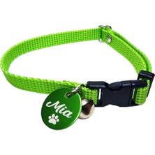 Özbience Renkli Kedi Tasması ve Isimlik Seti, Şık ve Güvenli Tasarım