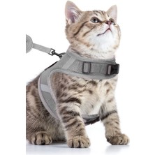 Özbience Konforlu ve Ayarlanabilir Gri Kedi Göğüs Tasması, Kaçış Önleyici L Beden