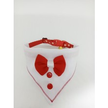 Özbience Renkli Papyon ve Fular Detaylı Kedi Tasması ve Bandana Seti