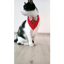 Özbience Renkli Papyonlu ve Künyeli Kedi Tasması ile Şık ve Rahat Gömlek Tarzı