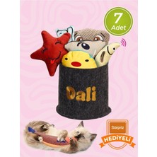 Özbience Kedi Naneli Zilli Kumaş Oyuncaklar, Renkli ve Desenli 7'li Set