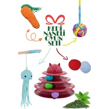 Özbience Kedi Naneli Oyun Seti 5'li, 3 Katlı, Havuç, Ahtapot ve Toplu