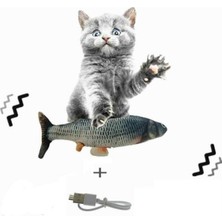 Özbience Hareketli Şarjlı Kedi Oyuncağı ile Eğlence Dolu Anlar