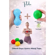 Allians Dikenli Masaj Topu Seti, Kas Gevşetici ve Egzersiz Destekli 2'li Paket