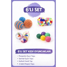 Özbience 6'lı Kedi Oyun Topları Sesli Pinpon Topları Eğlenceli Oyuncak Seti