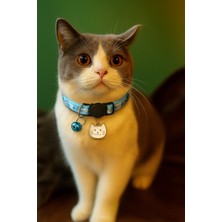 Özbience Kedi Desenli Süslü Ayarlanabilir Tasma, Güvenlik Tokası, Zilli, 4 Renk Seçeneği