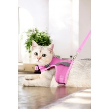 Özbience Nefes Alan Kedi Tasma Seti, Göğüs ve Boyun, Sevk Kayışlı, Reflektörlü, Pembe