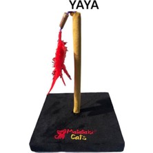 Özbience Yaya Yaylı Kedi Oyuncağı 28 Cm, Eğlence ve Hareket Için Harika Seçenek
