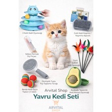 Özbience Yavru Kedi Bakım ve Oyun Seti, Tüy Toplama, Nanesi, Tarağı ve Oyuncaklar