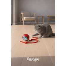 Özbience LED Işıklı Otomatik Yuvarlanan Kedi Oyuncağı USB Şarjlı