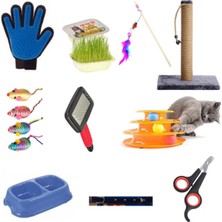 Özbience Sevimli Kedi Bakım ve Oyun Seti 10'lu, Eğlence ve Bakım Için Idealdir