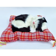Özbience Pratik Kedi ve Köpek Sağlık ile Oyun Toplu Ürünler Standı