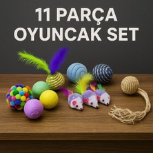 Özbience Eğlenceli ve Renkli Kedi Oyuncak Setleri, Keyifli Vakit Geçirirler!