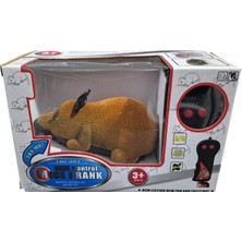 Özbience Uzaktan Kumandalı Fare, Ileri-Geri Hareket Kontrollü, Pratik Kullanım