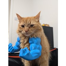 Özbience Kaslı Kedi Kostümü, Eğlenceli Evcil Hayvan Giyim, Sevimli ve Rahat