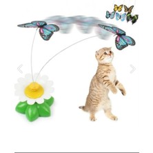 Özbience Renkli ve Eğlenceli Kedi Oyuncağı, Hareketli ve Çekici Tasarım