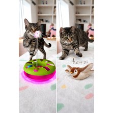 Özbience Titreşimli Hareketli Kedi Oyuncağı Çemberli ve Çıngıraklı Toplu