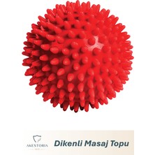 Allians Duyu Uyarıcı Masaj Topu, Vücut ve Yüz Kaslarını Rahatlatıcı Top