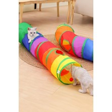Özbience Katlanabilir Gökkuşağı Kedi ve Köpek Oyun Tüneli, Eğlence Dolu Anlar
