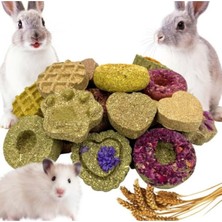 Özbience Tavşan Hamster Doğal Çiğneme Oyuncağı - 24 Parça Set