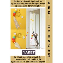 Özbience Renkli Sevimli Elastik Kedi Oyun Oltası, Evcil Hayvanlar Için Eğlenceli ve Eğitici