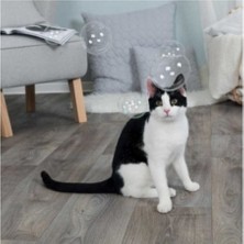 Özbience Renkli Kedi Otlu Balonlar 120ML, Eğlenceli ve Canlı Tasarım