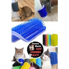 Özbience Duvara Yapışan Kedi Tüy Temizleme ve Kaşınma Tarak Fırça Seti