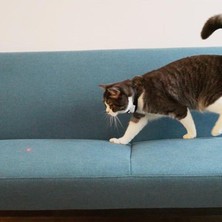 Özbience Lazer Tasma, Şarjlı Akıllı Interaktif Kedi Oyuncağı 34X3,5 cm