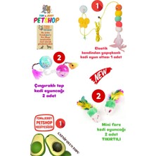 Özbience Eğlenceli Kedi Oyun Seti: Oltası, Çıngıraklı Top ve Fare Oyuncakları