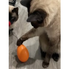 Özbience 3D Baskı Kedi Mama Matı, Turuncu Petg, Eğitici Yavaş Yeme ve Oyuncak