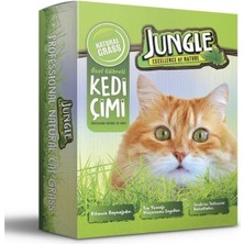 Özbience Yeşil Kedi Çimi Seti, Tazelik ve Doğallık Sunar, Evcil Dostlar Için Mükemmel!