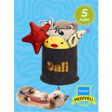 Özbience Kedi Naneli Zilli Kumaş Oyuncaklar, Karışık Renk ve Desen, 5'li Set