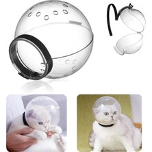 Özbience Şeffaf Kedi Astronot Kaskı Koruma ve Eğlence Için Tasarlandı