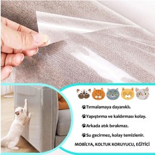 Özbience Kedi Eğitim Bandı 25X45 Cm, 4'lü Set, Mobilya Koruyucu ve Tırmalama Caydırıcı