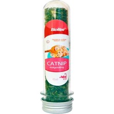 Özbience Taze Kedi Otu 45 Ml, Doğal ve Ferahlatıcı Bitki Seçeneği