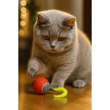 Özbience 360 Derece Dönen USB Şarj Edilebilir Akıllı Oyun Topu, Kedi ve Köpekler Için