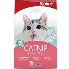 Özbience Doğa Dostu Kedi Otları 20 Gr, Evcil Hayvanlar Için Sağlıklı Seçenek