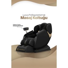 Allians Işlevsel Isıtmalı Masaj Koltuğu, Tüm Vücut Rahatlatıcı Konfor