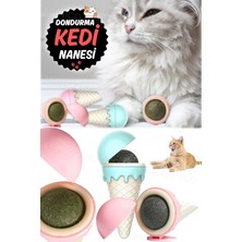 Özbience Sevimli Kedi Nanesi Oyuncağı, Duvara Monte, Tatlı ve Eğlenceli Top