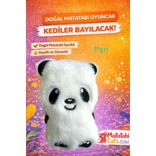 Özbience Peluş Kedi Oyuncağı, Matatabi Içerikli, Dayanıklı ve Eğlenceli Kedi Oyunu