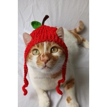 Özbience Renkli Elma Temalı Örgü Kedi Köpek Şapkası, Evcil Hayvan Aksesuarı