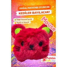 Özbience Peluş Kedi Oyuncağı, Matatabi’li, Dayanıklı, Eğlenceli Kedi Oyunu