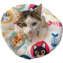 Özbience Renkli Kedi Desenli Ayarlanabilir Yıkanabilir Koruyucu Yaka
