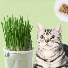 Özbience Kedi Bakım Seti: Topraksız Çim, Ödüllü Mama Kaşığı ve Kıtık Açıcı