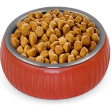 Özbience Organik Seramik Mama Kabı, Güvenle ve Şık Tasarım