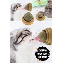 Özbience Kedi Topları, Eğlenceli ve Güzel Sağlık Desteği Için