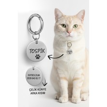 Özbience Paslanmaz Çelik Kedi Köpek Isimlik, Dayanıklı ve Şık Tasarım